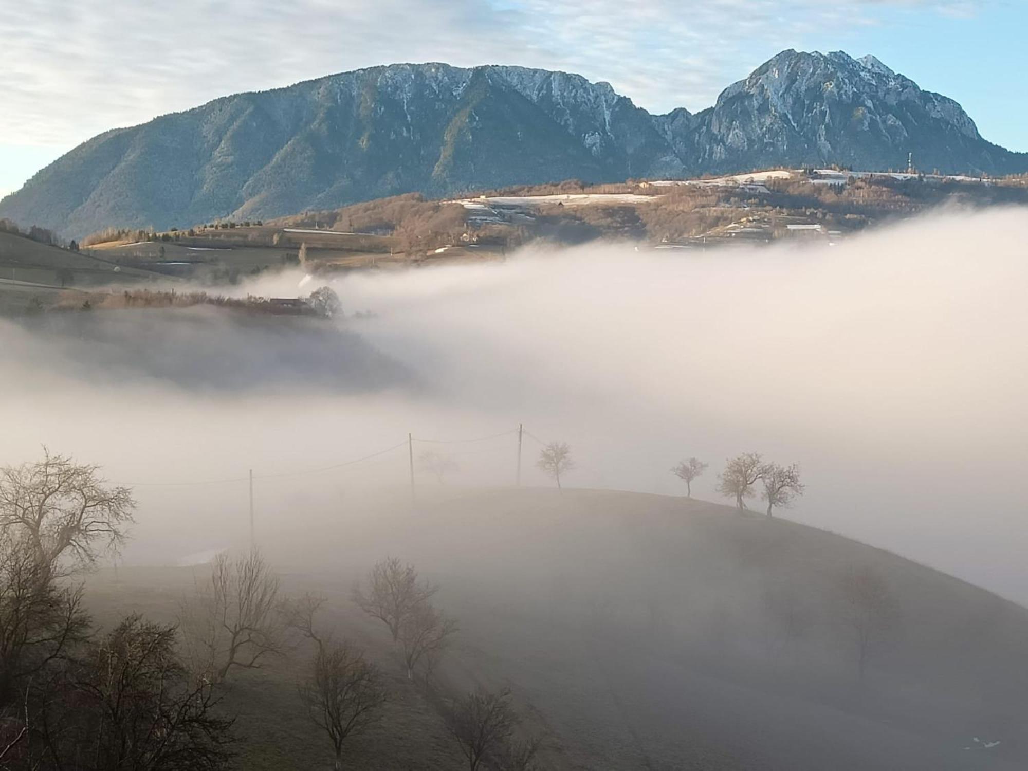 Casa Din Livada, Poiana Marului, Brasov Villa Luaran gambar